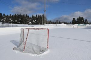a hockey goal in the middle of a snowy field