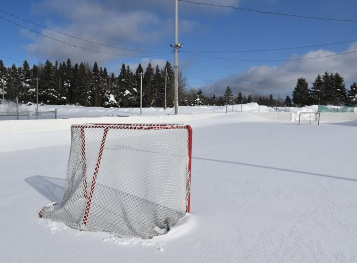 a hockey goal in the middle of a snowy field